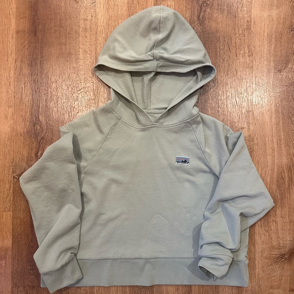 Patagonia Organic Cotton Hoodie in Light Gray